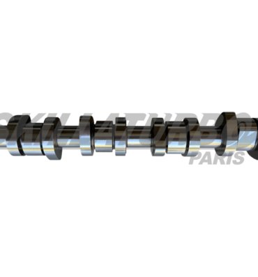 Photoroom_20250627_005614